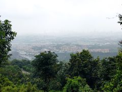 -火炉山森林公园