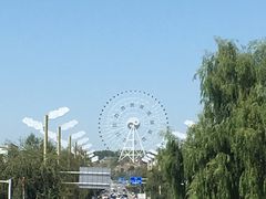-特克斯八卦城