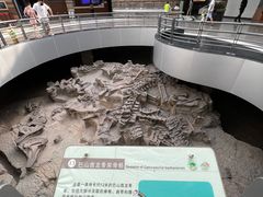 -自贡恐龙博物馆