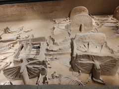 -洛阳周王城天子驾六博物馆