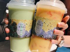 -野萃山·潮汕厚果汁(十亩地店)