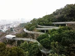 -福道
