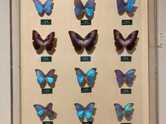 -陕西自然博物馆