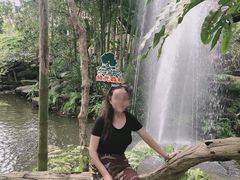 -绿光森林餐厅
