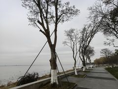 -阳澄湖费尔蒙酒店
