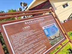 -青岛第三海水浴场