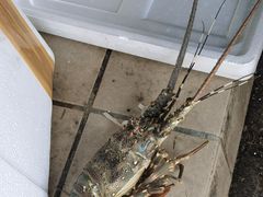 -江杨农产品批发市场