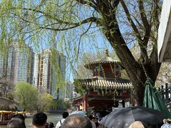 -皇家御河游(紫御湾码头)