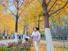 -长白岛森林公园