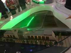 -白鹤梁水下博物馆