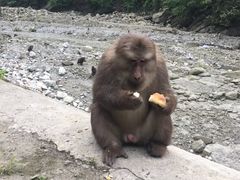 -九峰山