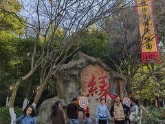 -杭州黄龙洞