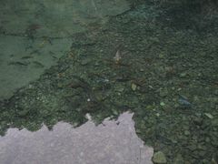 -雁荡山风景名胜区-小龙湫