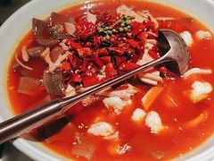 椒点毛血旺-椒点·川粤精品(香港广场店)
