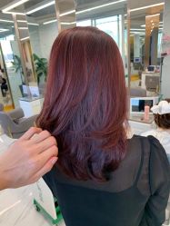 -潘多拉Hairsalon