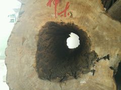 -宁波溪口古镇-民国大杂院