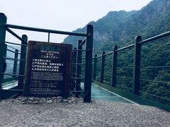 -龙湾潭国家森林公园