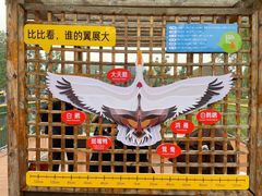 -武汉动物园