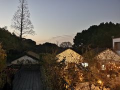 -树山生态村
