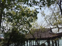-天目湖山水园