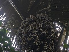 -七仙岭温泉国家森林公园