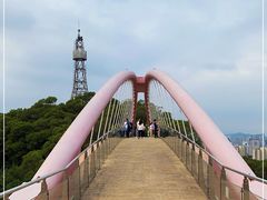 -金鸡山公园