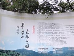 -阳台山森林公园