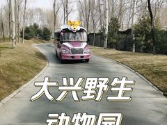 -北京野生动物园