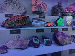 -湖南省地质博物馆