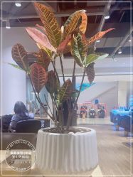 -Mentor Hair Salon