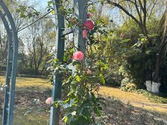 -浙江大学(紫金港校区)