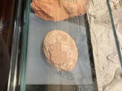 -温州博物馆