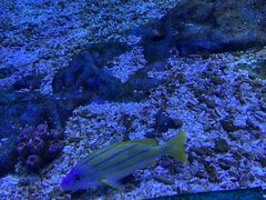 -海合安武汉极地海洋公园