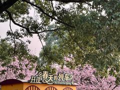 -南山植物园