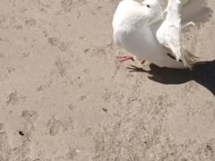 -静之湖度假区