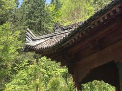 景点-黑河国家森林公园