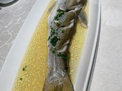 -至尊鲨鱼·原烹海鲜·新浙菜(拱宸桥店)
