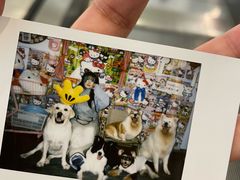 -汪说·狗咖(旺城大厦店)