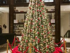 -行者书屋大堂吧 ·下午茶(南京圣和府邸酒店)