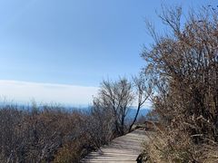 -白草畔自然风景区