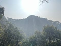 -南山植物园