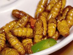 油炸蜂蛹-了能菜·传统特色粤菜·虫宴