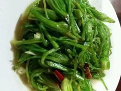 android_upload_pic-苍洱春饭店