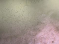 -星轶IMAX影城(桐乡吾悦广场旗舰店)