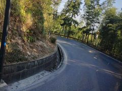 -九华山风景区月身宝殿