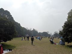 -东湖落雁景区