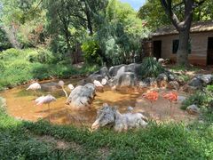 -昆明动物园