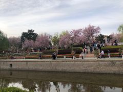 -元大都城垣遗址公园