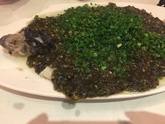 烧椒鲈鱼-尘香•传统川菜(创汇首座店)
