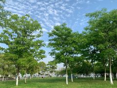 -漢咖啡·全服务式自助晚餐(武汉洲际酒店)